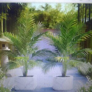 Happy Holidays! 2pcs lg luxury artificial green palm trees out&indoor brand new